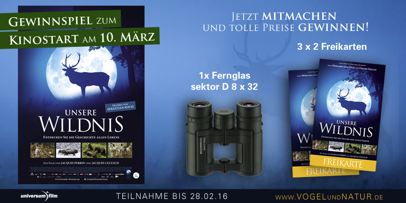 millionen gewinnen kostenlos millionen gewinnen kostenlos