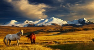 Auf Abenteuerreise in der Mongolei