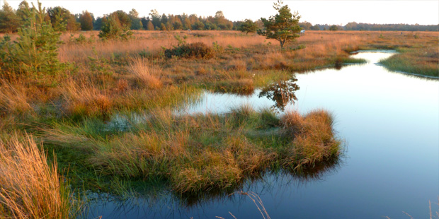 Naturschutzgebiet Rhäden