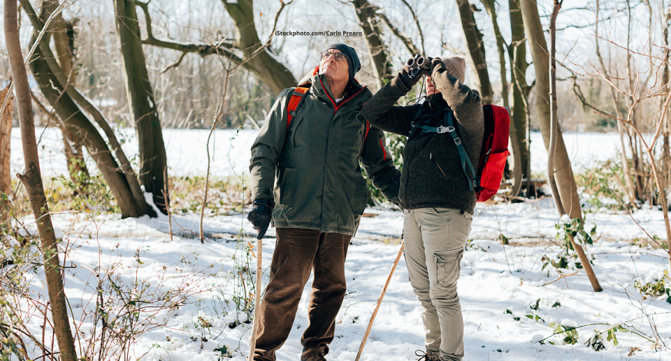 Winterkleidung für Vogelbeobachter