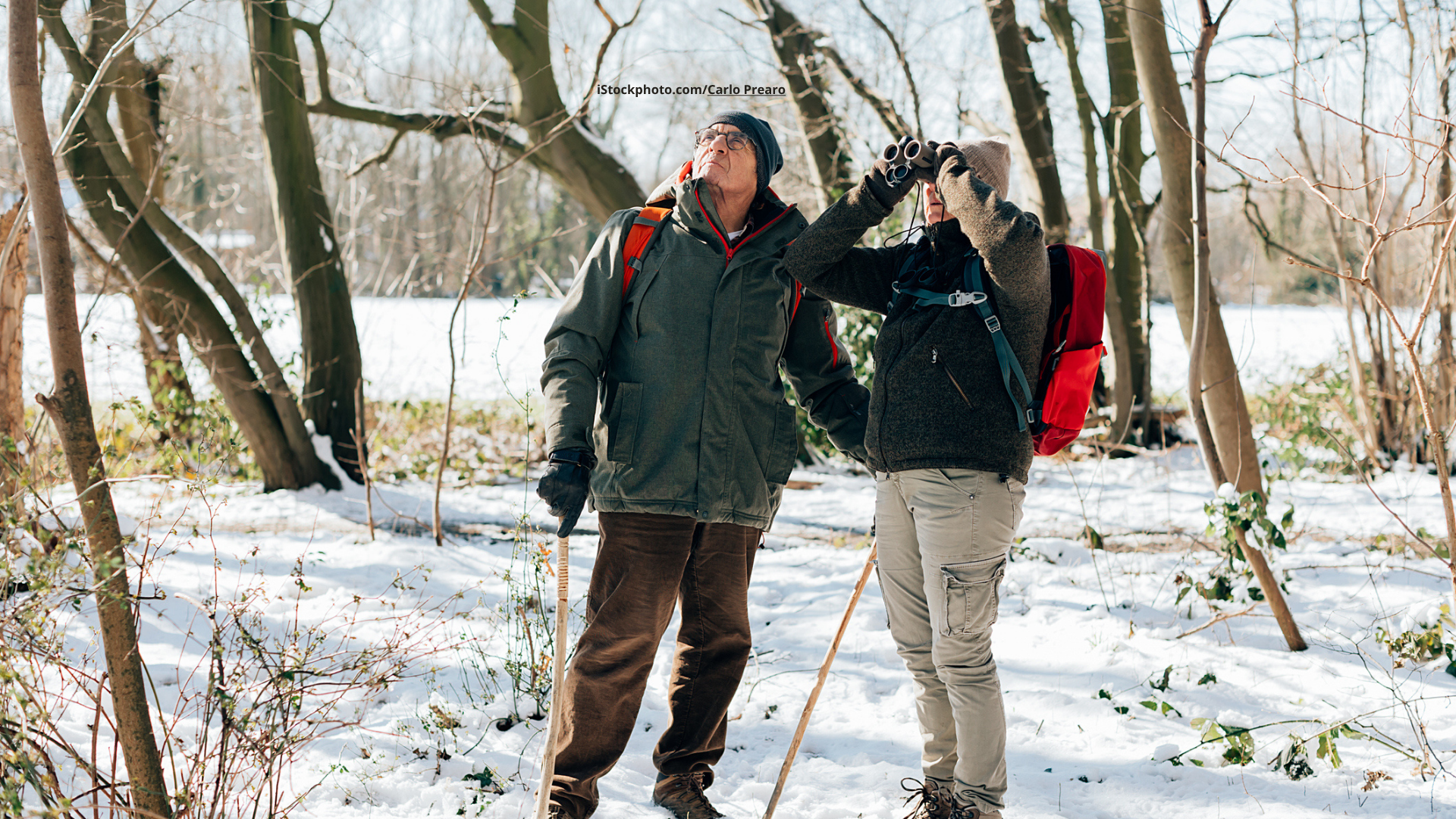 Winterkleidung für Vogelbeobachter