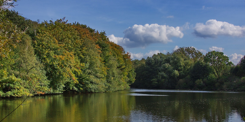 Vogelbeobachtung im NSG Enkheimer Ried