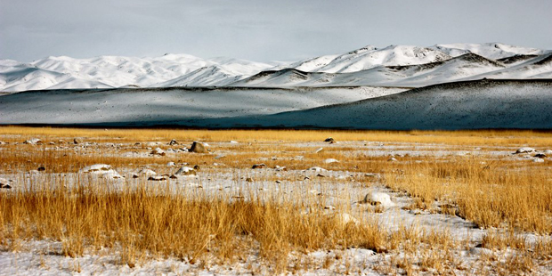 Die Wilde Steppe