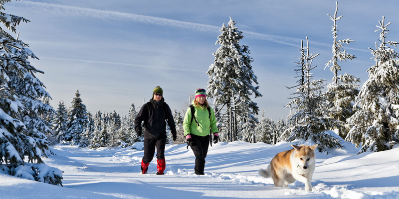 Winterkleidung für Vogelbeobachter