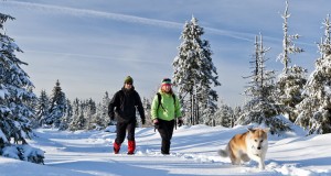 Winterkleidung für Vogelbeobachter