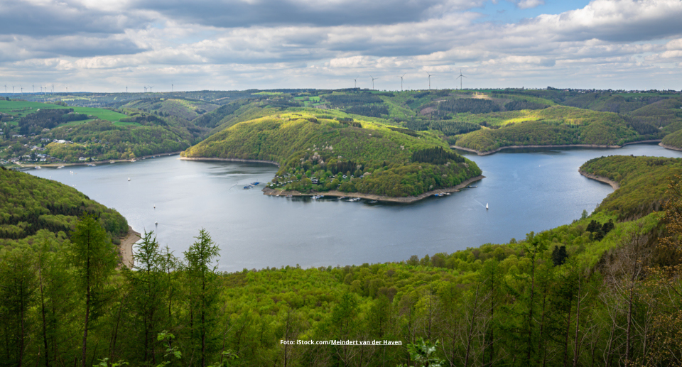 Das Foto zeigt die malerische Aussicht auf grüne Hügel und den Rursee, vom Aussichtspunkt "Hirschley" im Nationalpark Eifel aus gesehen.
