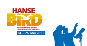 HanseBird 2013 – Optikmesse & Vogelschutz