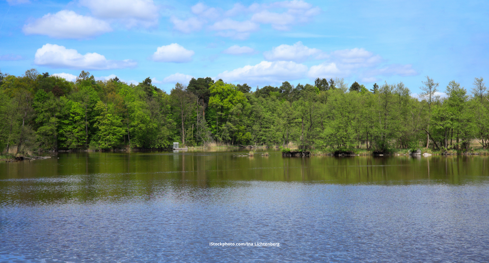 Da Foto zeigt den Amtssee im UNESCO-Biosphärenreservat Schorfheide-Chorin.