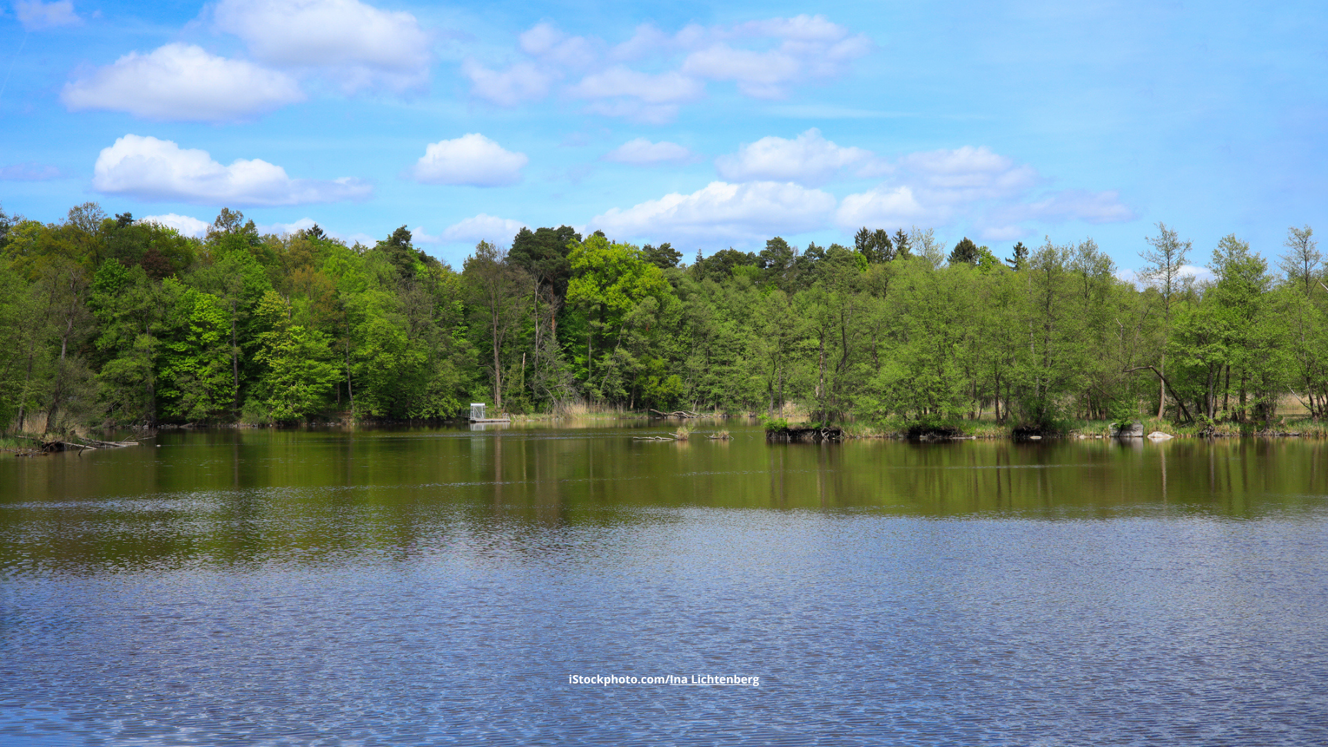 Wasser und Wald im Biosphärenreservat Schorfheide-Chorin