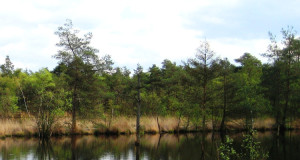 Wasser & Wald im Biosphärenreservat Schorfheide-Chorin