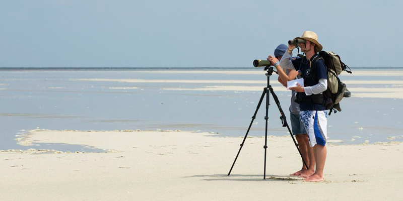 Die Arbeit der Schutzstation Wattenmeer