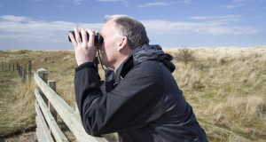 Ferngläser für die Vogelbeobachtung – Zusammenfassung