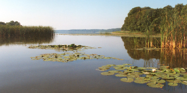 Seenlandschaft im Müritz-Nationalpark