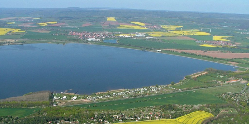 Talsperre Kelbra – Ein Paradies für Vogelbeobachter