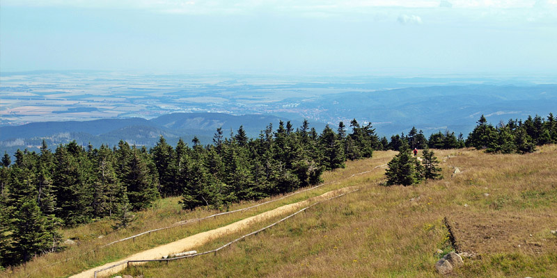 Nationalpark Harz – Rückzugsort für bedrohte Arten