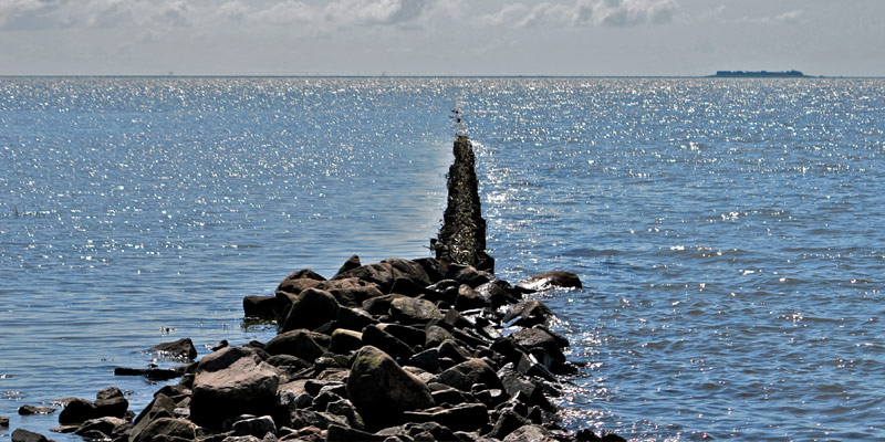 Die Hallig Norderoog –  Eine Arche für Küstenvögel