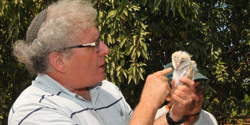 Yossi Leshem im Gespräch – Zugvögel für den Frieden in Nahost