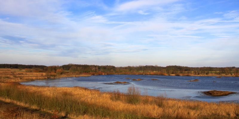 Rieselfelder Münster – Europäisches Vogelreservat in Westfalen