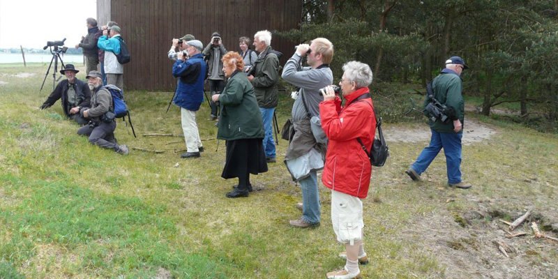 Vogelbeobachtung-NABU-Ortsgruppe