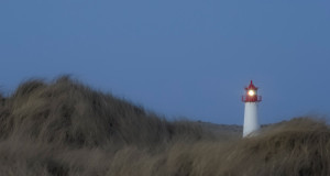 Vogel & Natur unterwegs – Auf Sylt mit dem Fotografen Peter Kastner