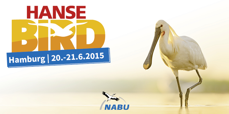 HanseBird 2015 – Vogelbeobachter-Treff im hohen Norden