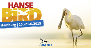 HanseBird 2015 – Vogelbeobachter-Treff im hohen Norden