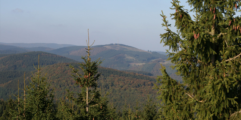 Vogelschutzgebiet Medebacher Bucht – Die Toskana des Sauerlands