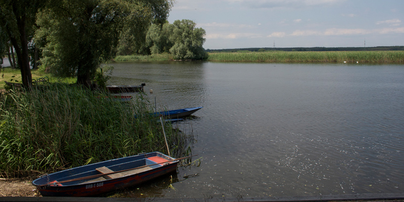 Naturpark Westhavelland – Schwimmen mit Schnepfen