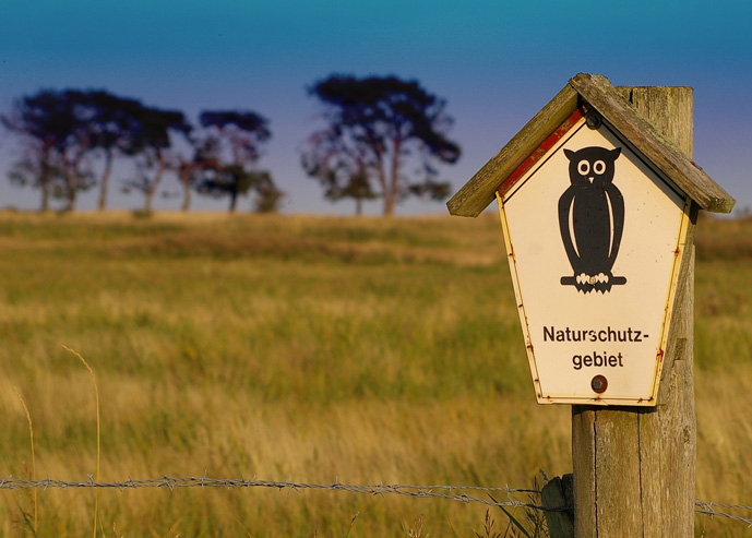 Vogelschutzprojekte in Deutschland