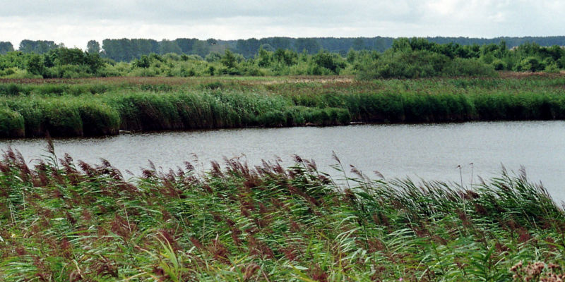 Die Strandseenlandschaft bei Schmoel