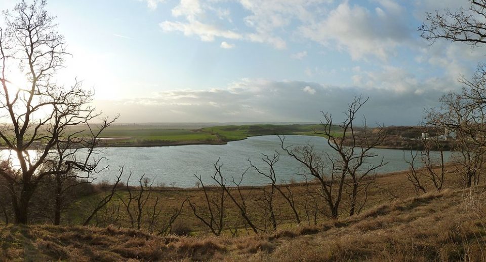 Der Salzige See in Sachsen-Anhalt – Vogelparadies im Seebecken