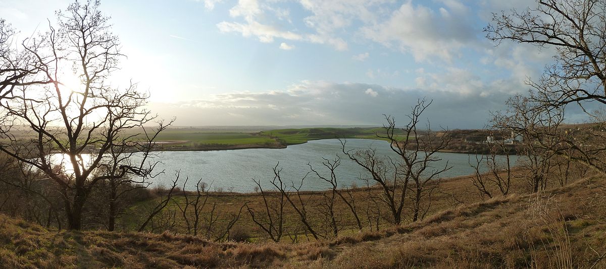 Der Salzige See in Sachsen-Anhalt – Vogelparadies im Seebecken