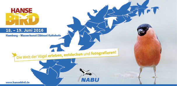 Das Vogelfestival des Nordens – Auf zur HanseBird 2016!