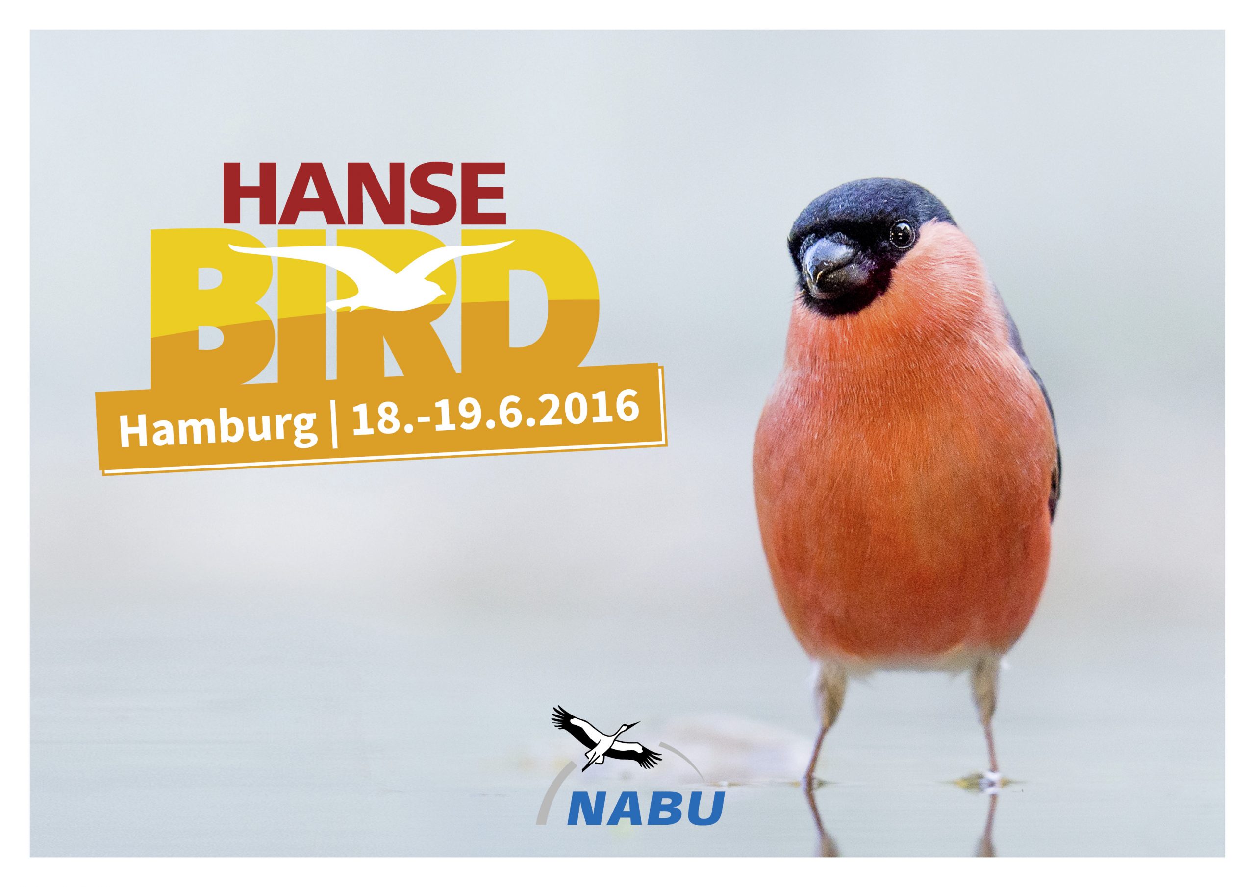 Das Vogelfestival des Nordens – Auf zur HanseBird 2016!