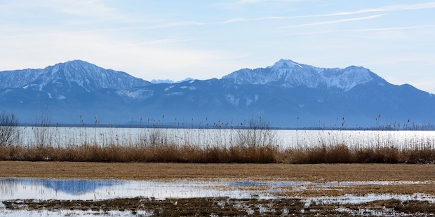 Vogelbeobachtung am Chiemsee