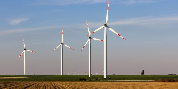 Heimische Vögel – Opfer der Windkraft