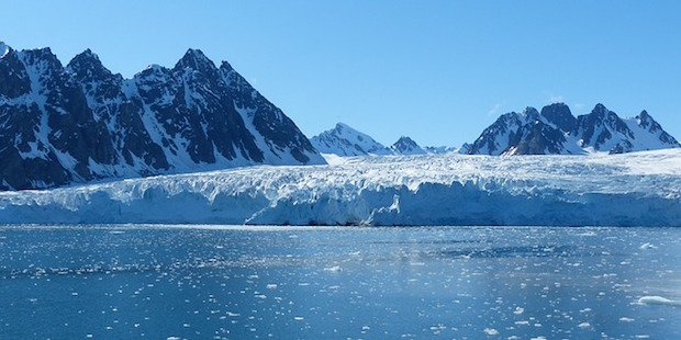 Spitzbergen: Vögel am Nordpolarkreis