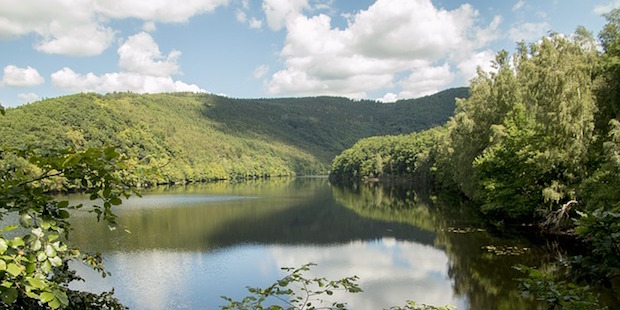 Der Nationalpark Eifel – Wege in die Wildnis