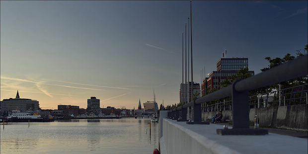 Vogelbeobachtung in Kiel