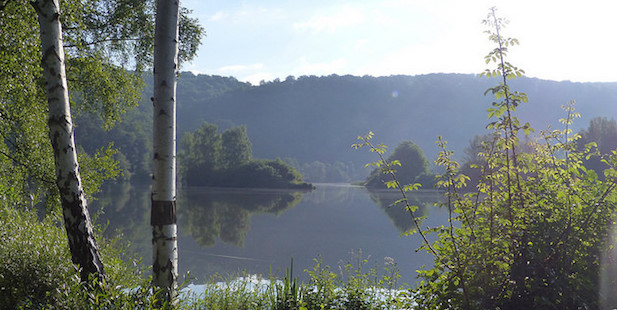 Naturschutzgebiet Fuldaaue