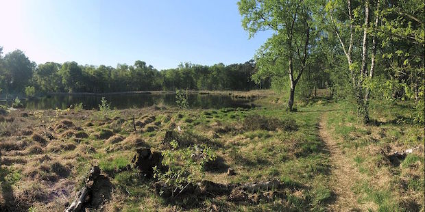 Das Kuhlenvenn und die Fürstenkuhle