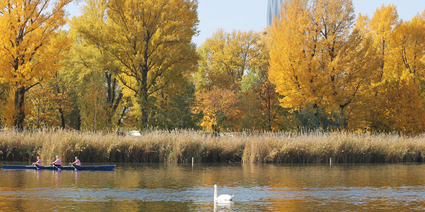 Vogelbeobachtung in Wien