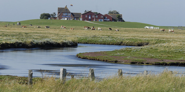 Die Hallig Hooge im Schleswig-Holsteinischen Wattenmeer