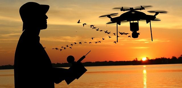Konkurrenz im Luftraum: Drohnen vs. Vögel