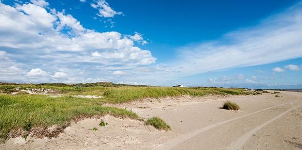 Dänisches Inselparadies: Vogelbeobachtung auf Fanø