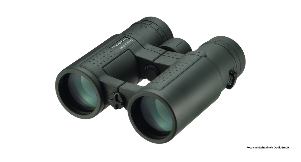 Das Foto zeigt das Fernglas sektor D 10 x 42 compact+ von Eschenbach Optik.