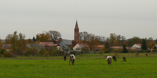 Das Ökodorf Brodowin in Brandenburg