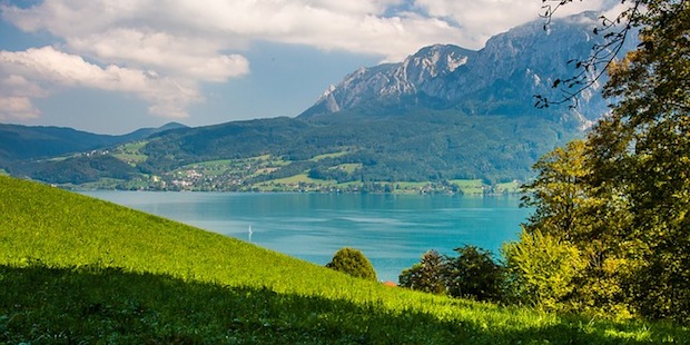 Alpine Vogelbeobachtung: Traun- und Attersee in Oberösterreich