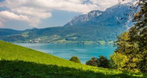 Alpine Vogelbeobachtung: Traun- und Attersee in Oberösterreich