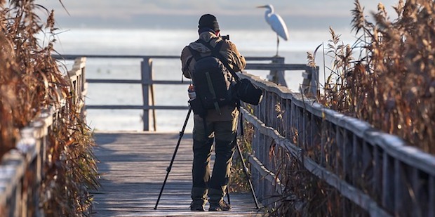 Fotowettbewerb 2018: Bird Photographer of the Year